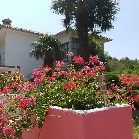 Moris Appartement