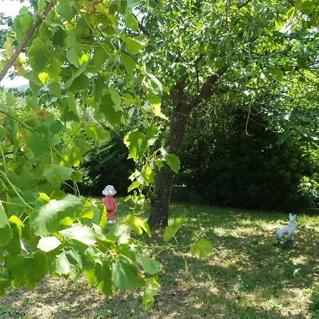 Moris Vozilici